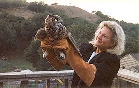  Teresa releasing a rehabilitated owl 